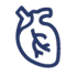 Understand Kidney Disease and Your Heart