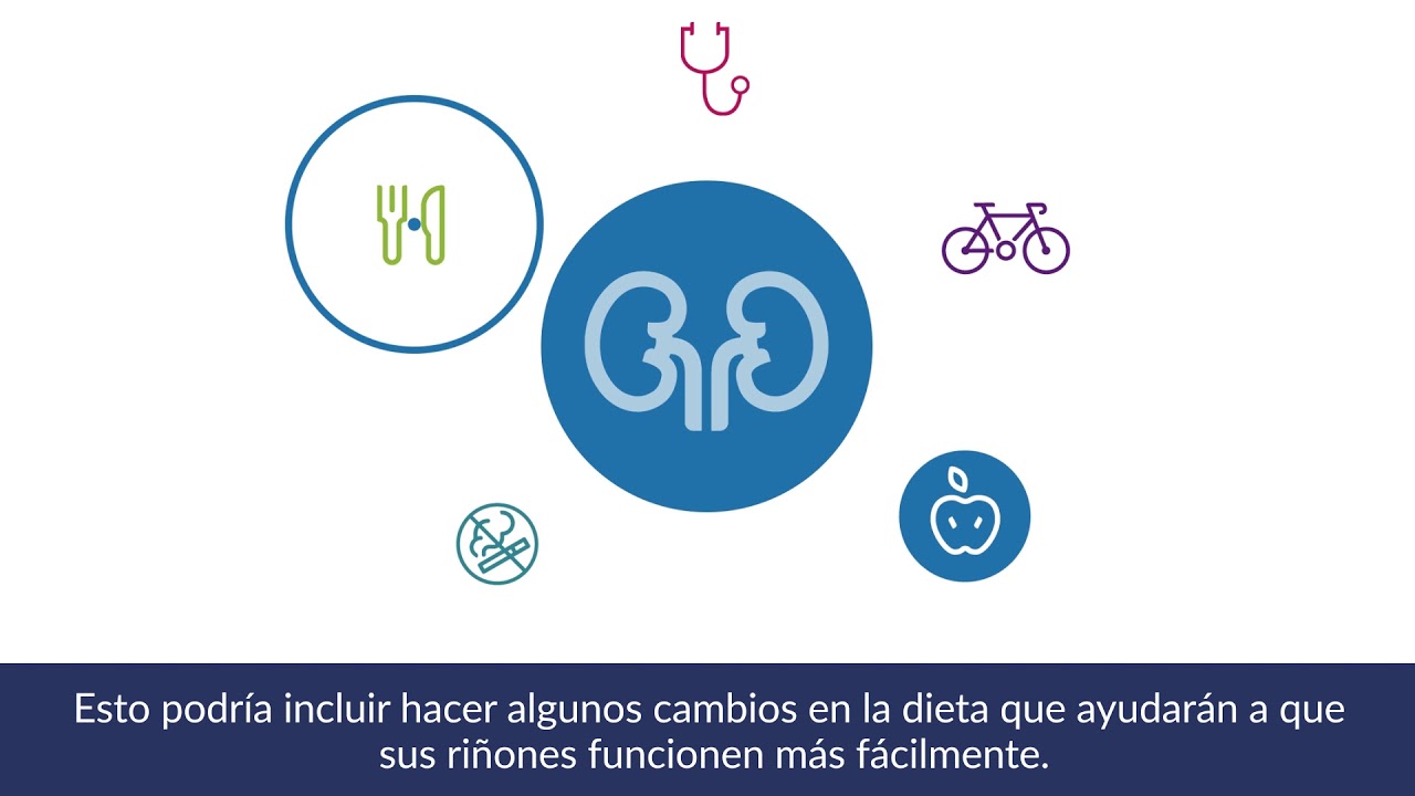 Datos básicos de dieta saludable para el riñón Cover Image